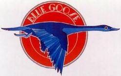 logo Blue Goose